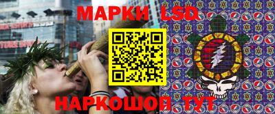 прущие крисы Ставрополь