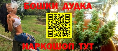 прущие крисы Ставрополь