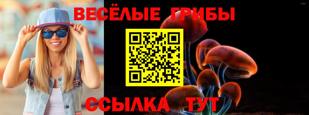 продажа наркотиков  Псилоцибиновые грибы GOLDEN TEACHER  Галлюциногенные грибы Cubensis  Вход с VPN  Сердобск 