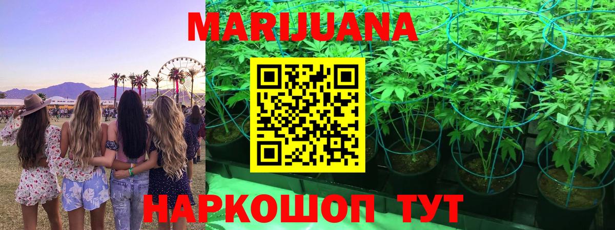 Конопля ГИДРОПОН  Канабис Amnesia  Сердобск  Вход с VPN 